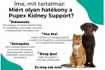 Pupex Kidney Support | Kutyáknak és macskáknak