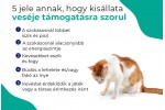 Pupex Kidney Support | Kutyáknak és macskáknak